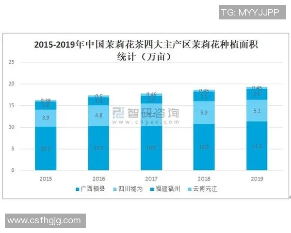 中国现役一线足球明星的崛起与未来发展趋势分析 中国现役一线足球明星的崛起与未来发展趋势分析